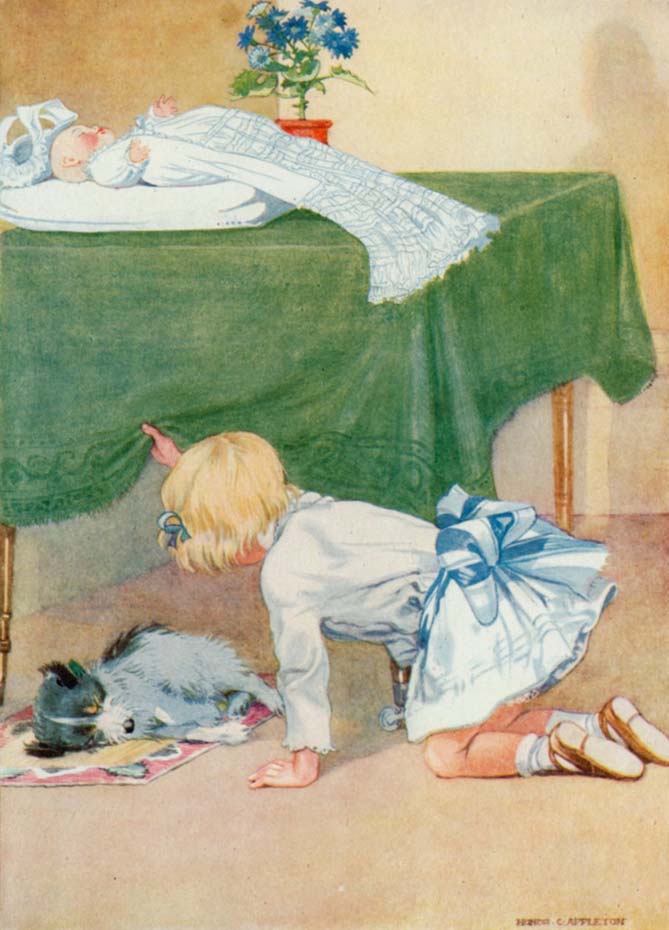 Honor Charlotte Appleton