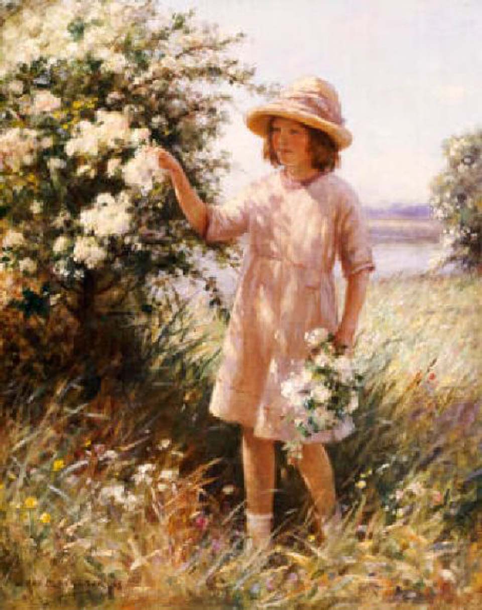 Picking may blossoms