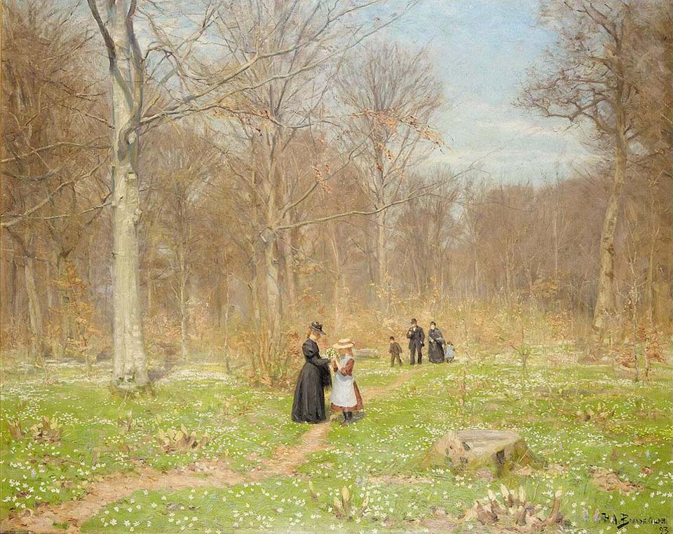 Woods in spring