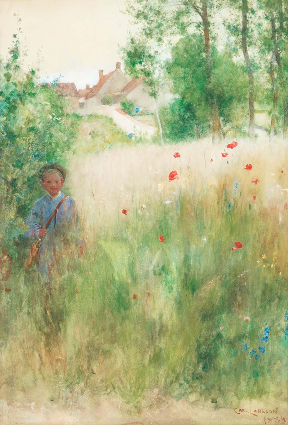 Les Coquelicots (à Grez-sur-Loing) - peinture de Carl Larsson - 1884