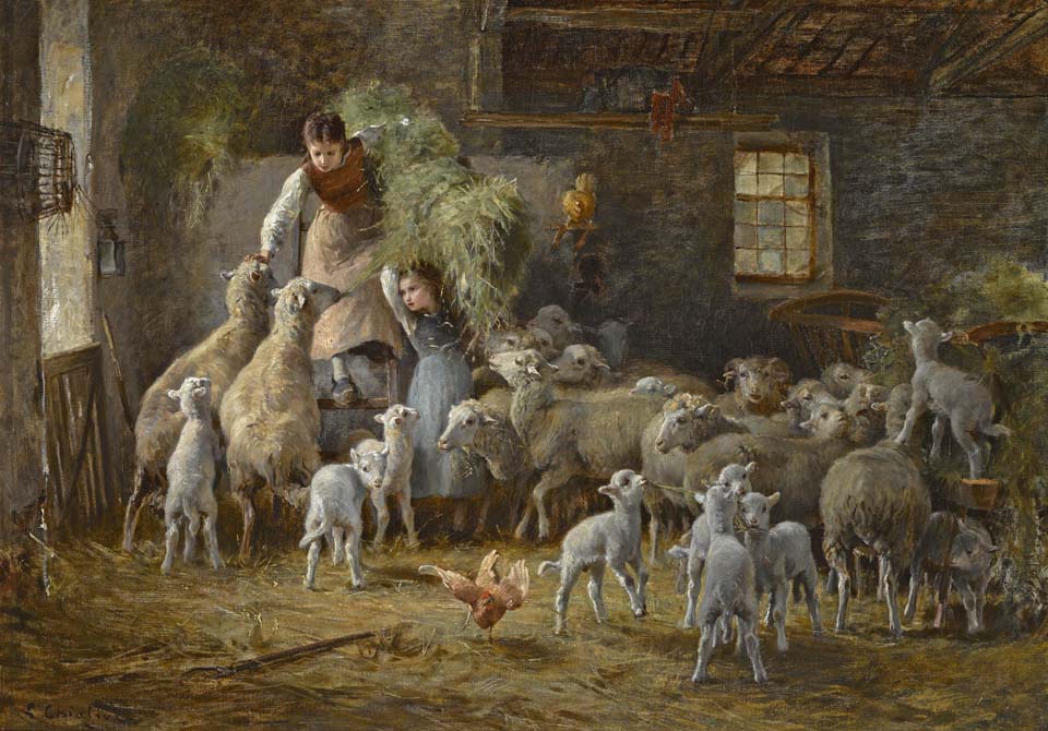 Feeding time