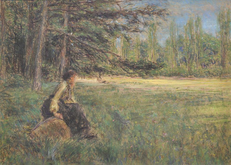 In the wood