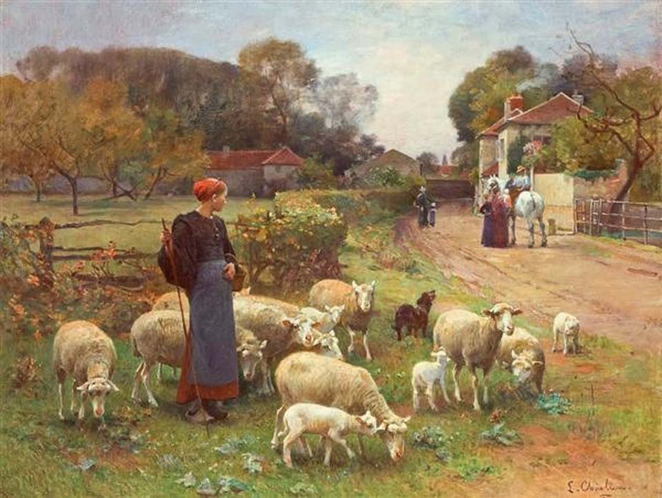 Tending the flock