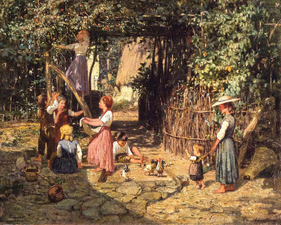 The cherry harvest