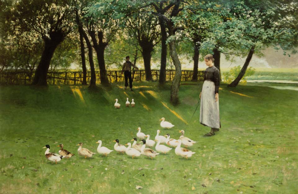 La fille aux canards