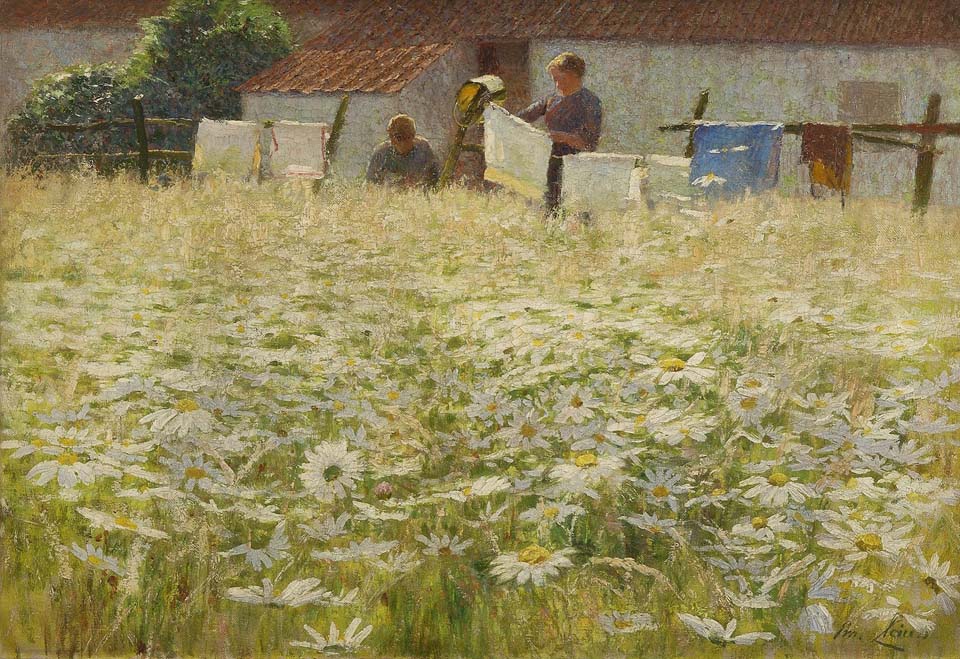 Les marguerites