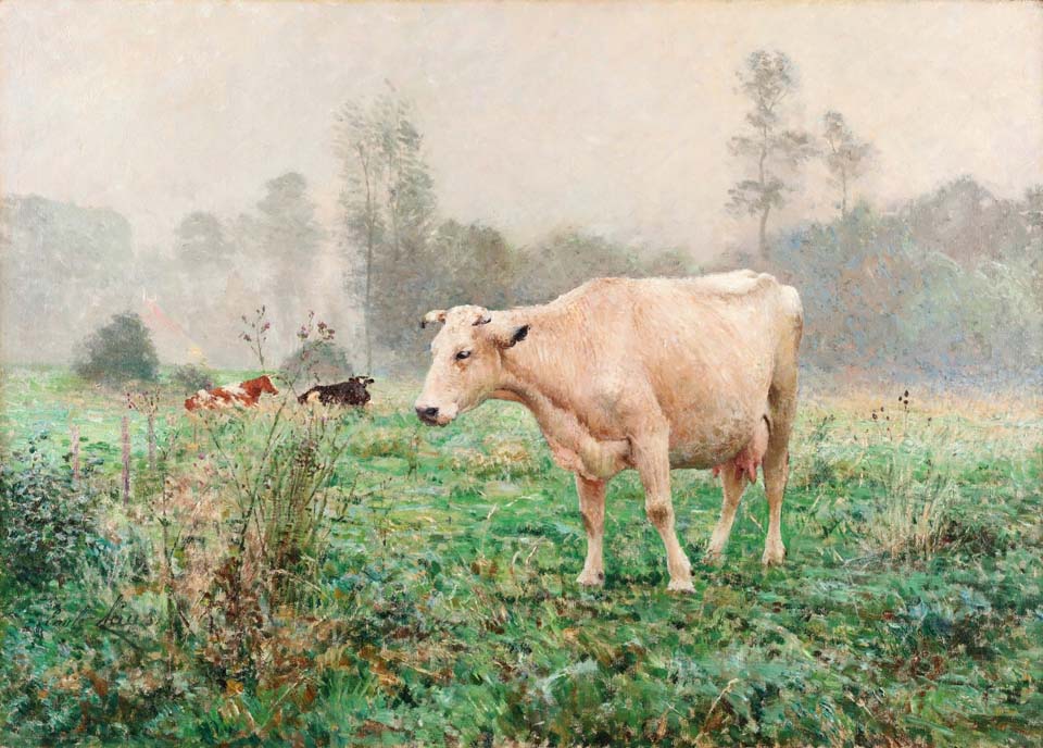 Vaches dans le pré