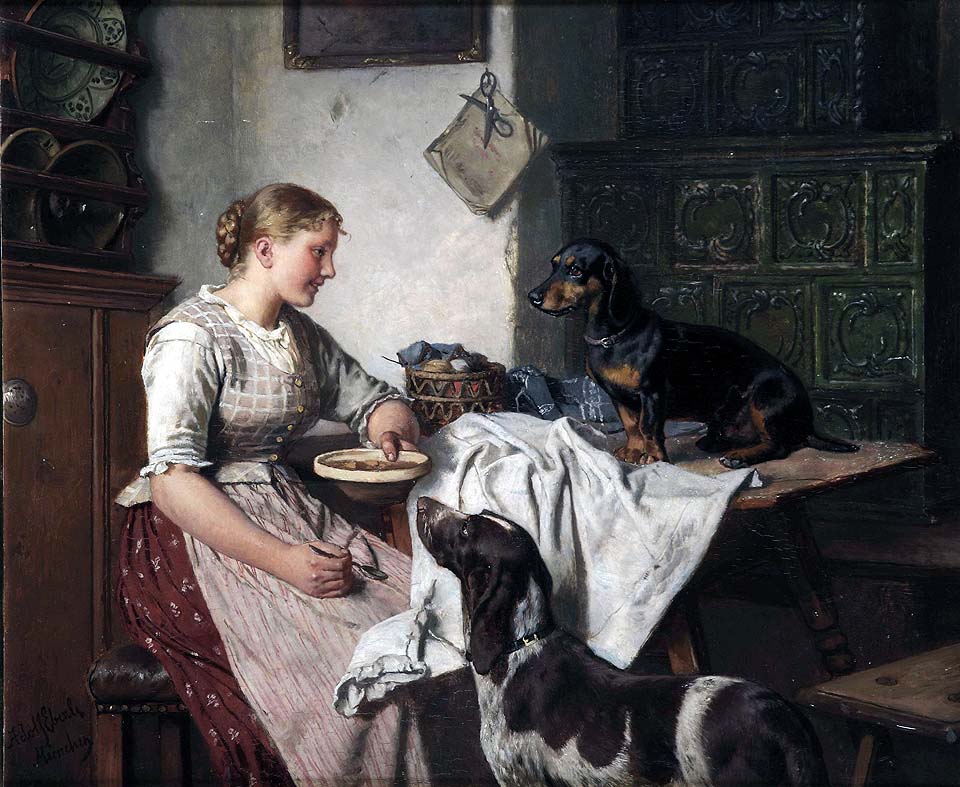 Feeding the dogs