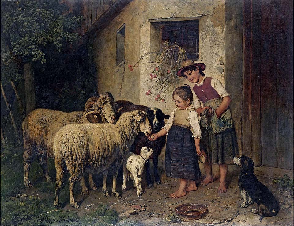 Feeding the sheep