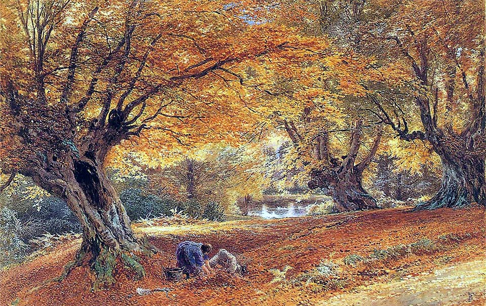 Burnham beeches