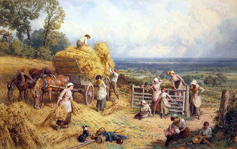 Harvest time