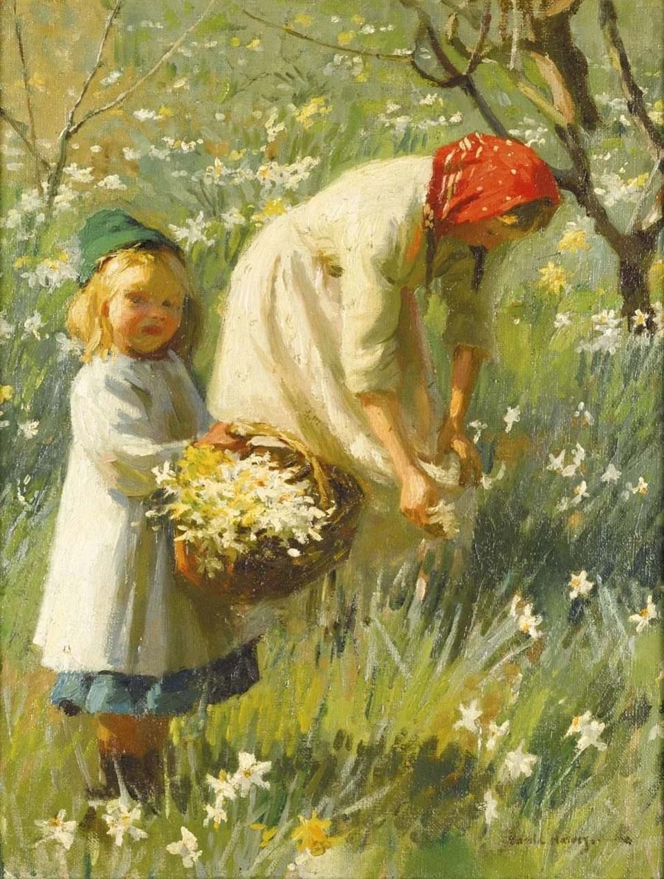 Picking daffodils