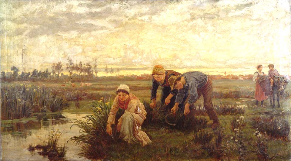 Rush cutters