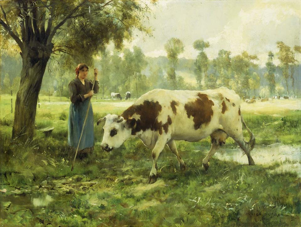 Cows at pasture