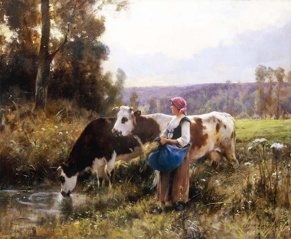 Cows at the watering hole