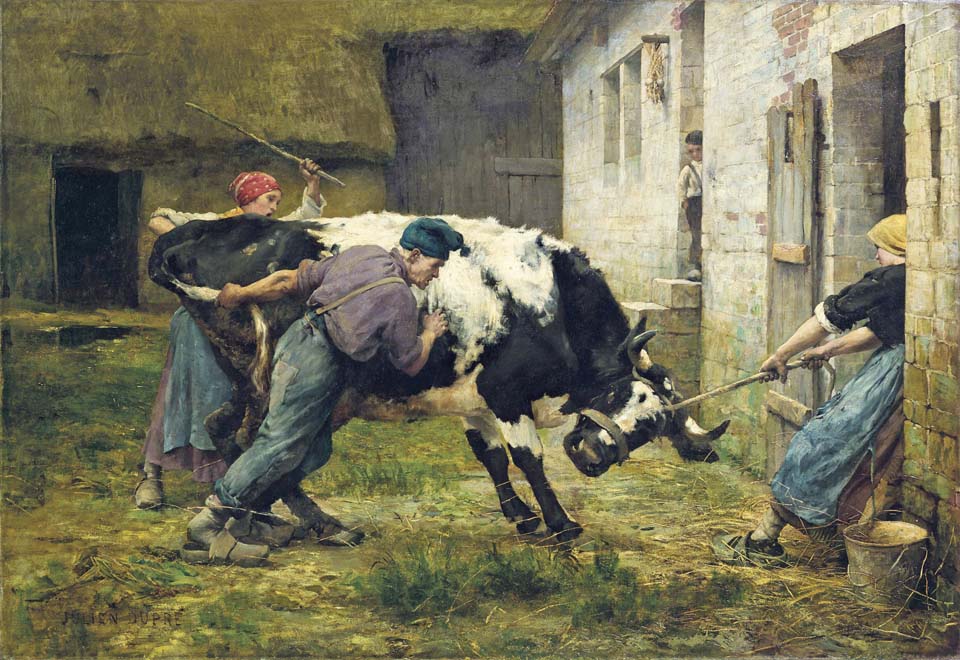 In the farm