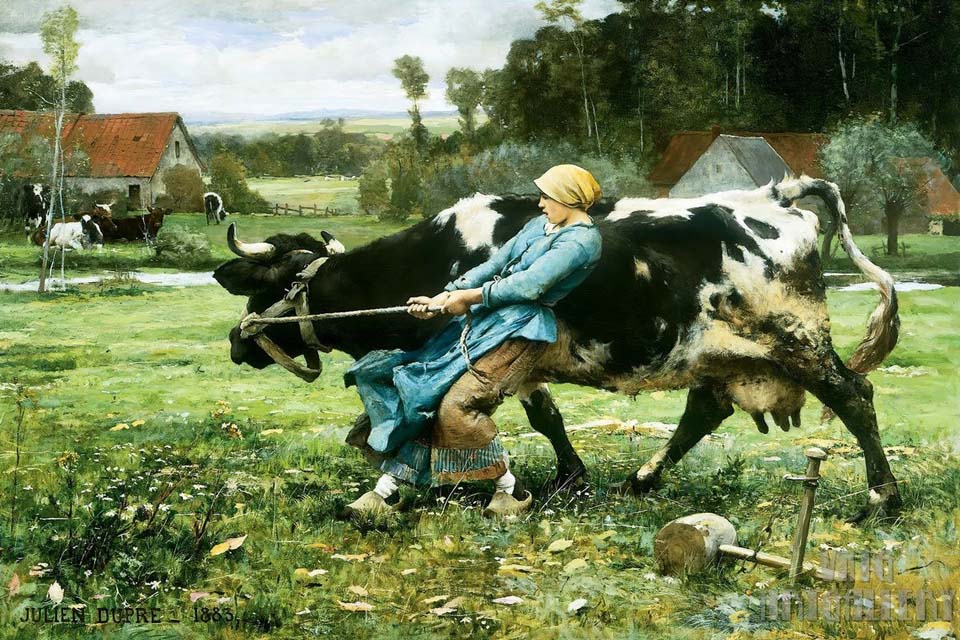 In the pasture