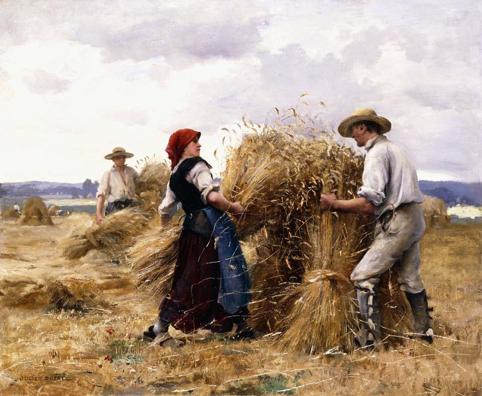 Stacking hay