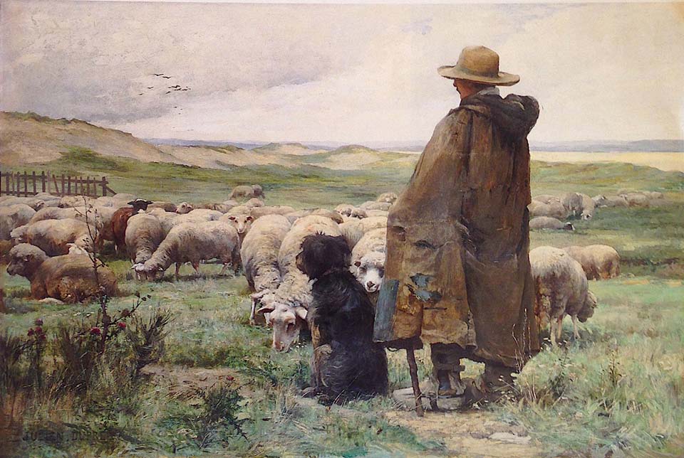 The shepherd