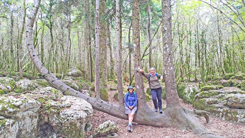 Fernande et Pascale au Sapin Harpe