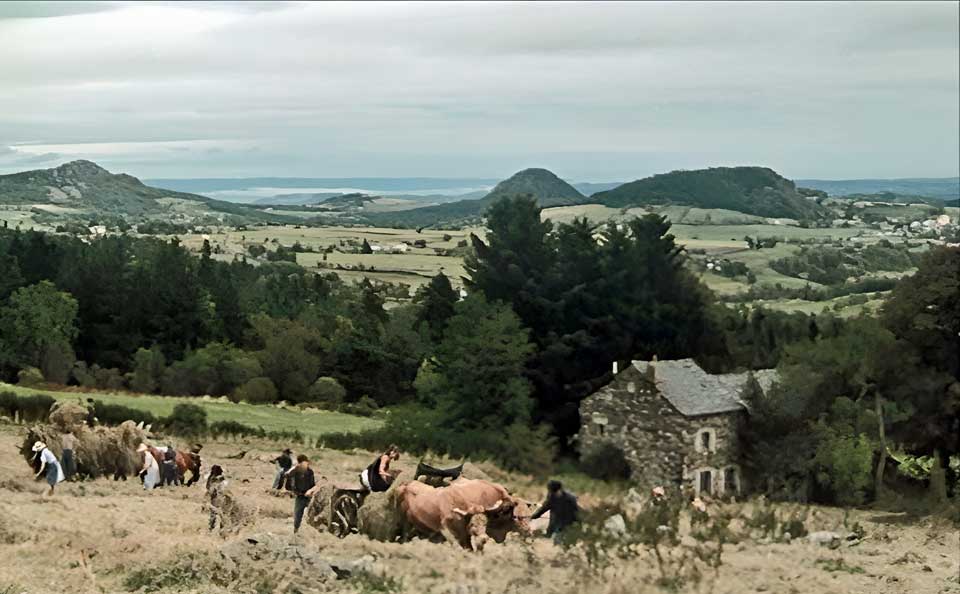 La Colline aux mille enfants