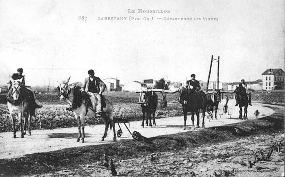 Cabestany - avant l'école La Fontaine - 1900