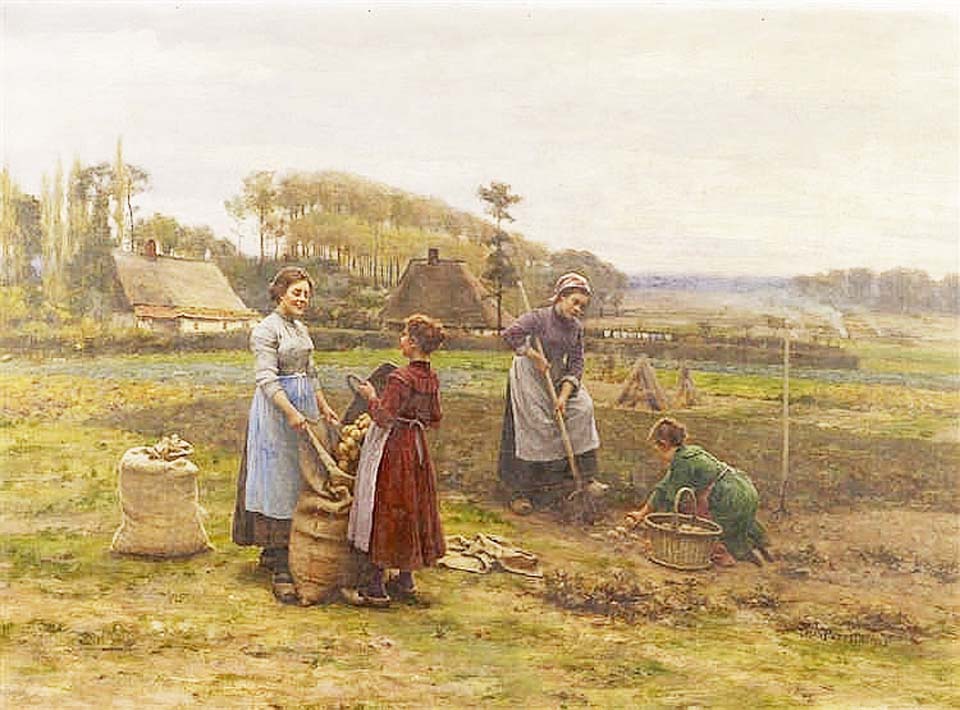 Women in the fields