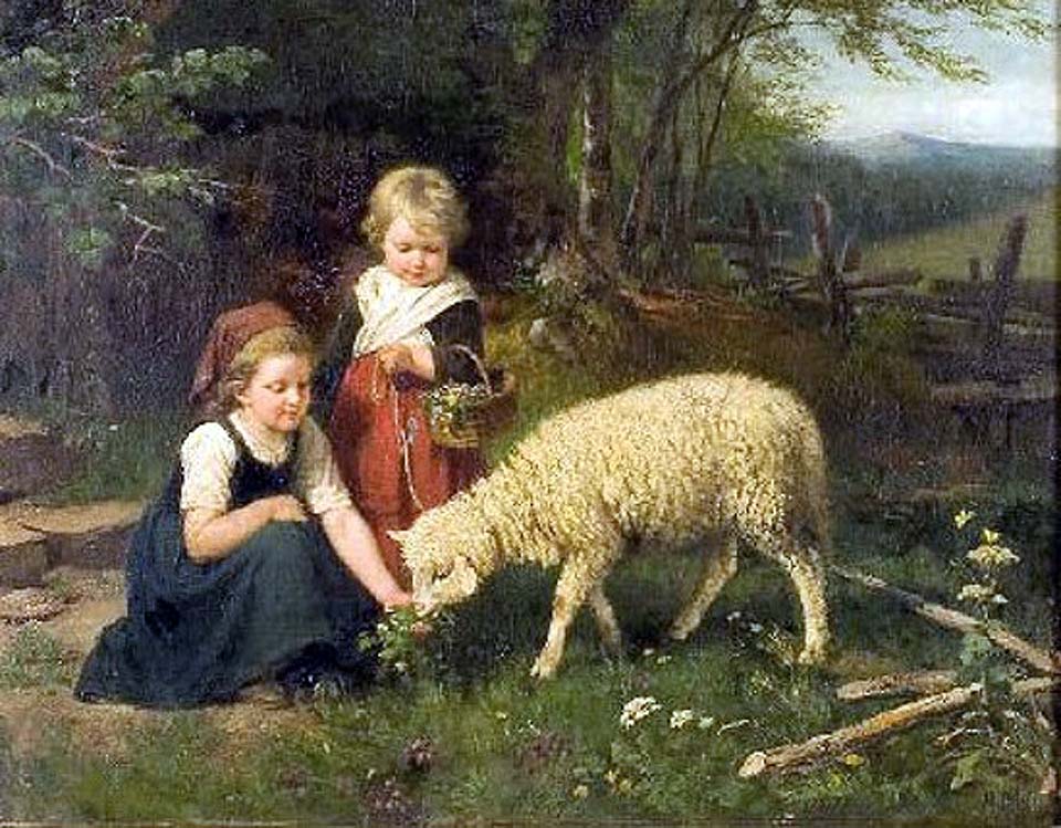 My pet lamb