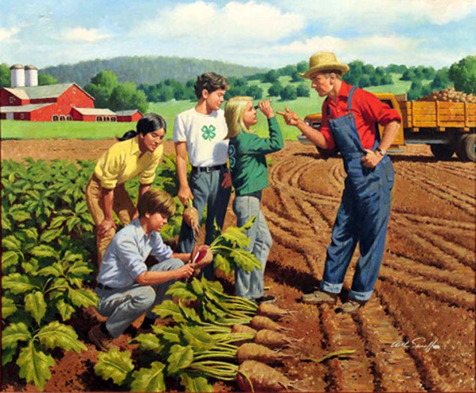 Farmer instructing 4h class