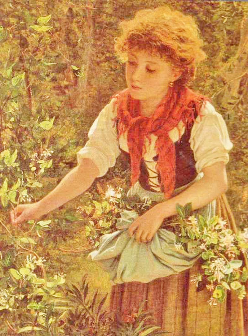 Picking honeysuckle