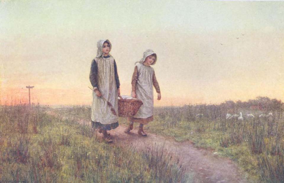 The clothes basket