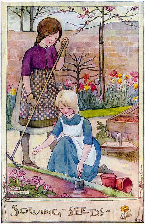 Sowing seeds