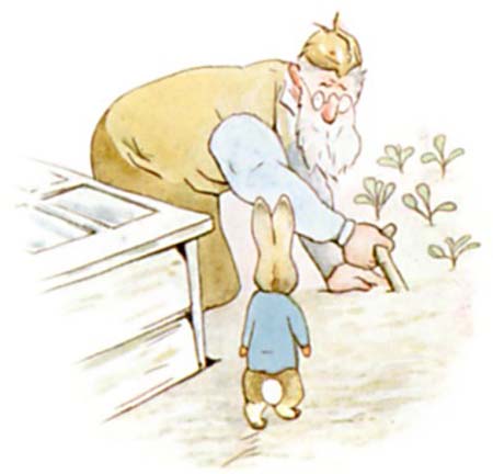 Beatrix Potter Le conte de Pierre Lapin