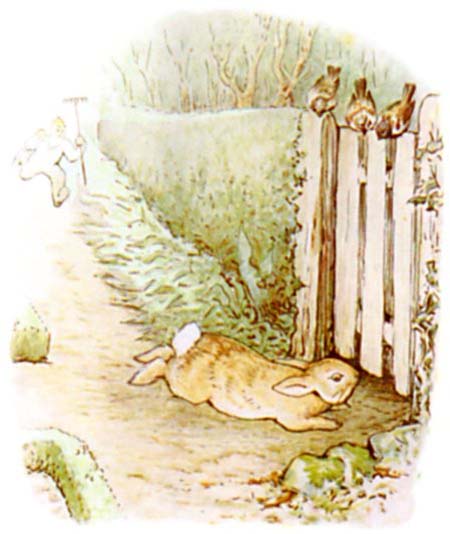 Beatrix Potter Le conte de Pierre Lapin