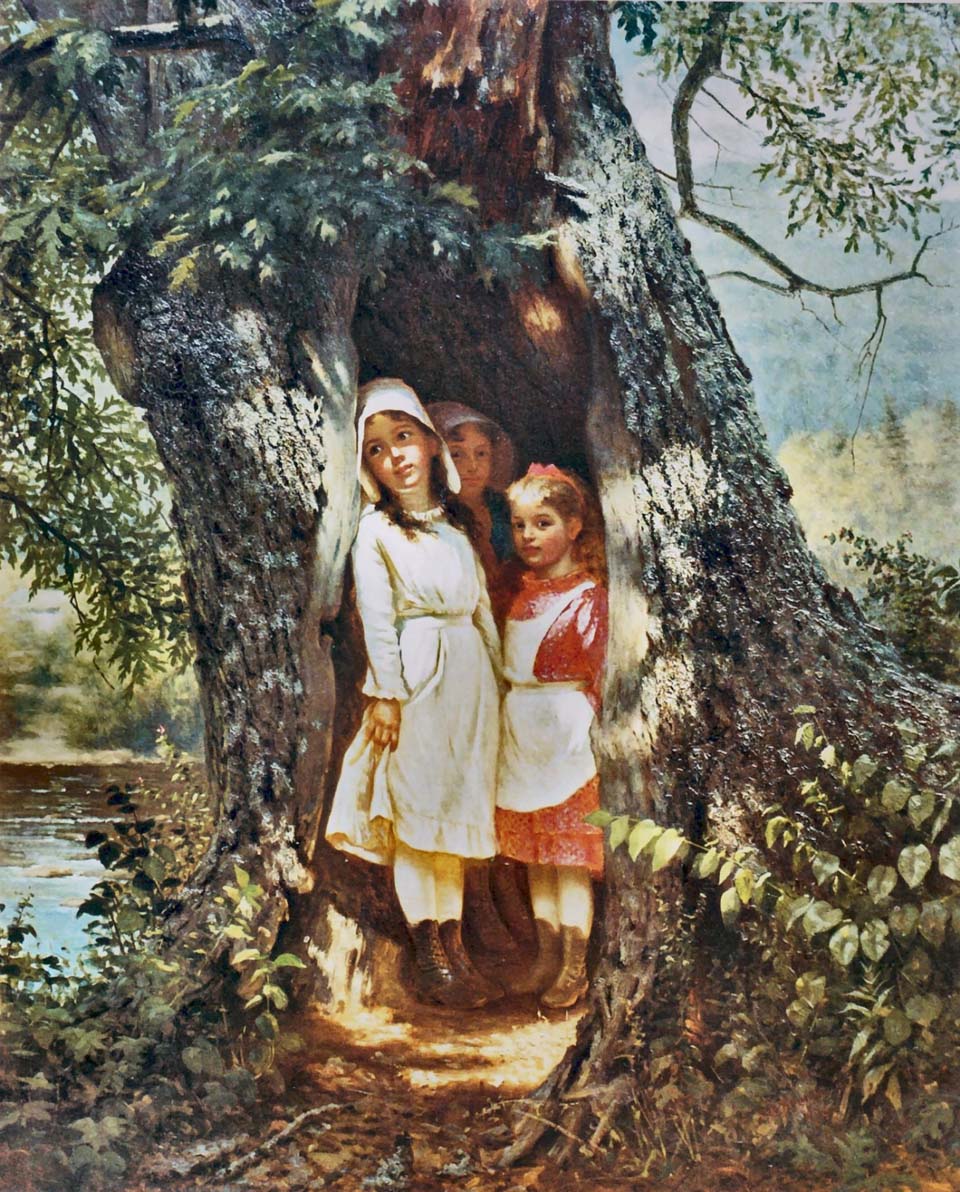 Hiding in the old oak