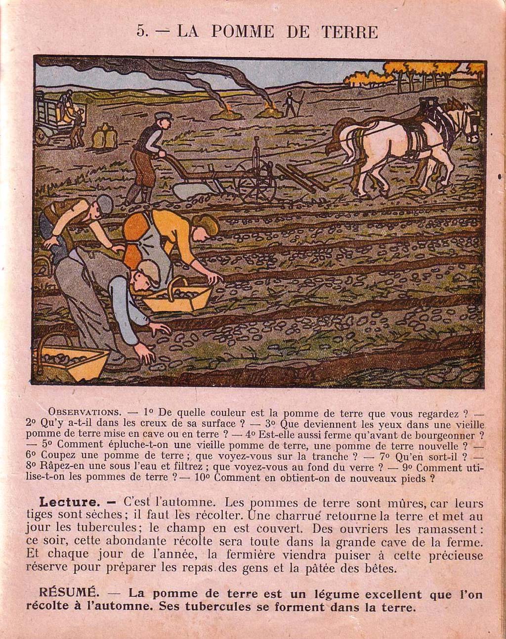 Mon premier livre de leçons de choses