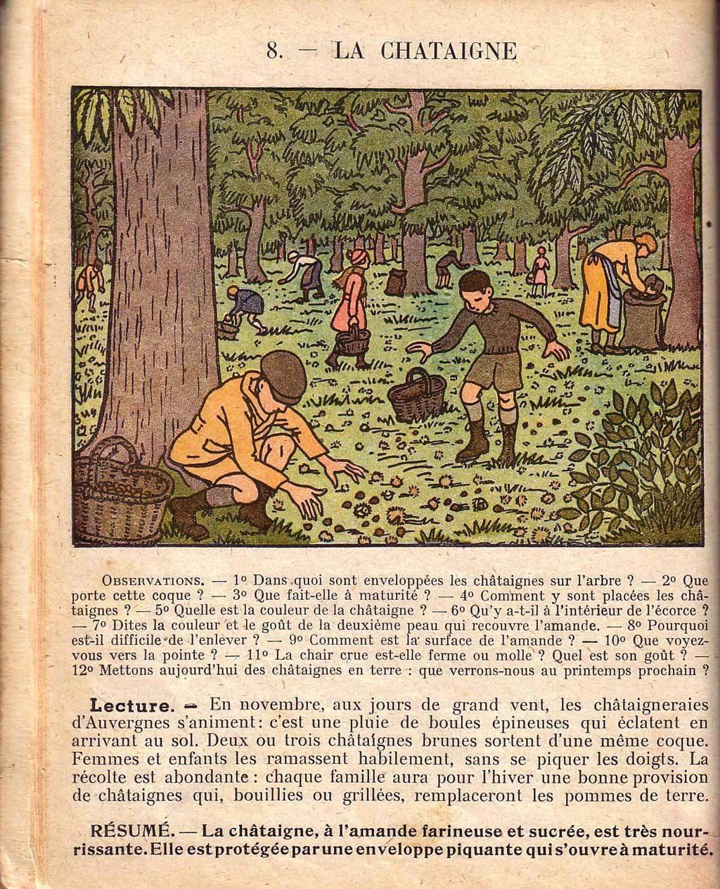 Mon premier livre de leçons de choses