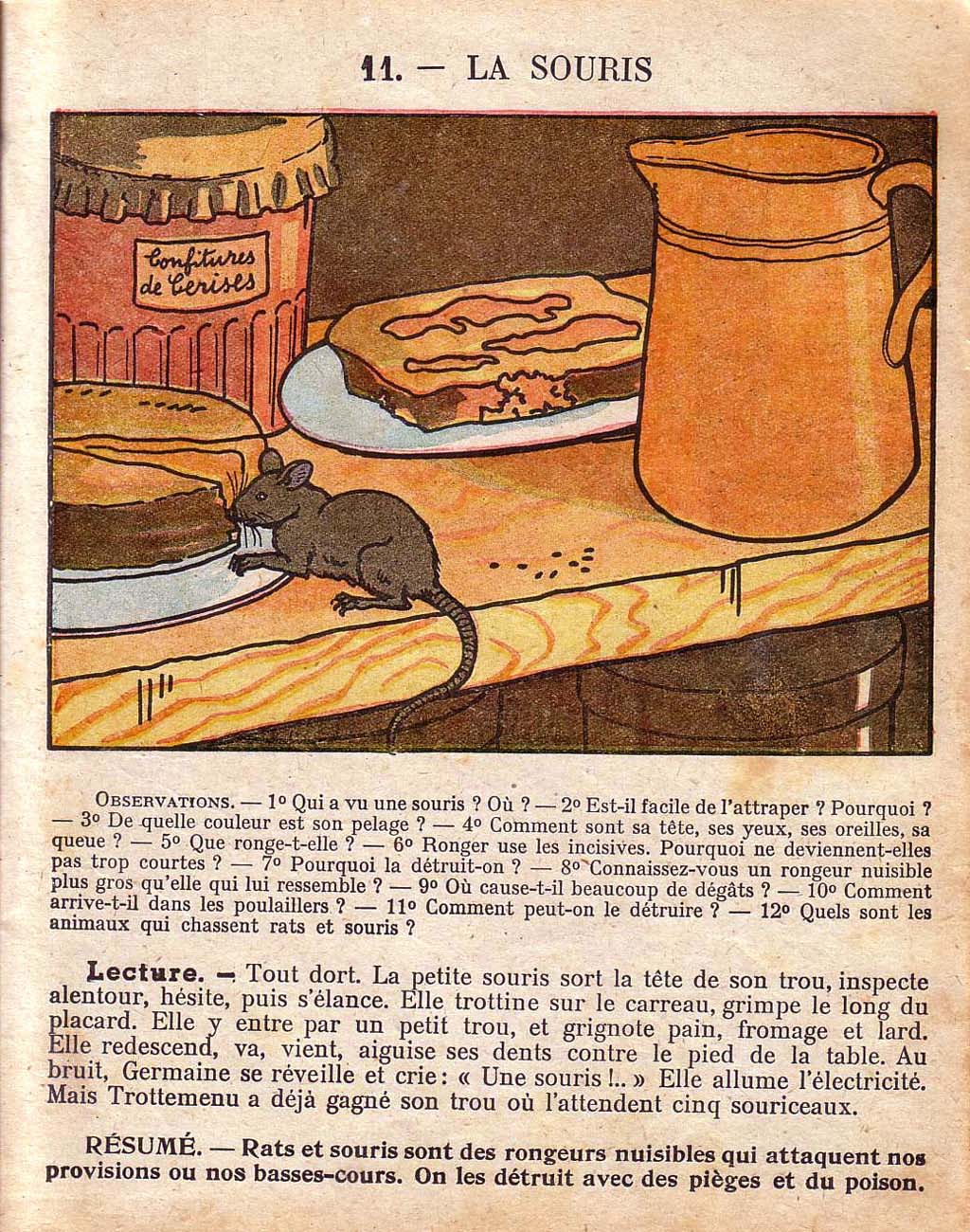Mon premier livre de leçons de choses