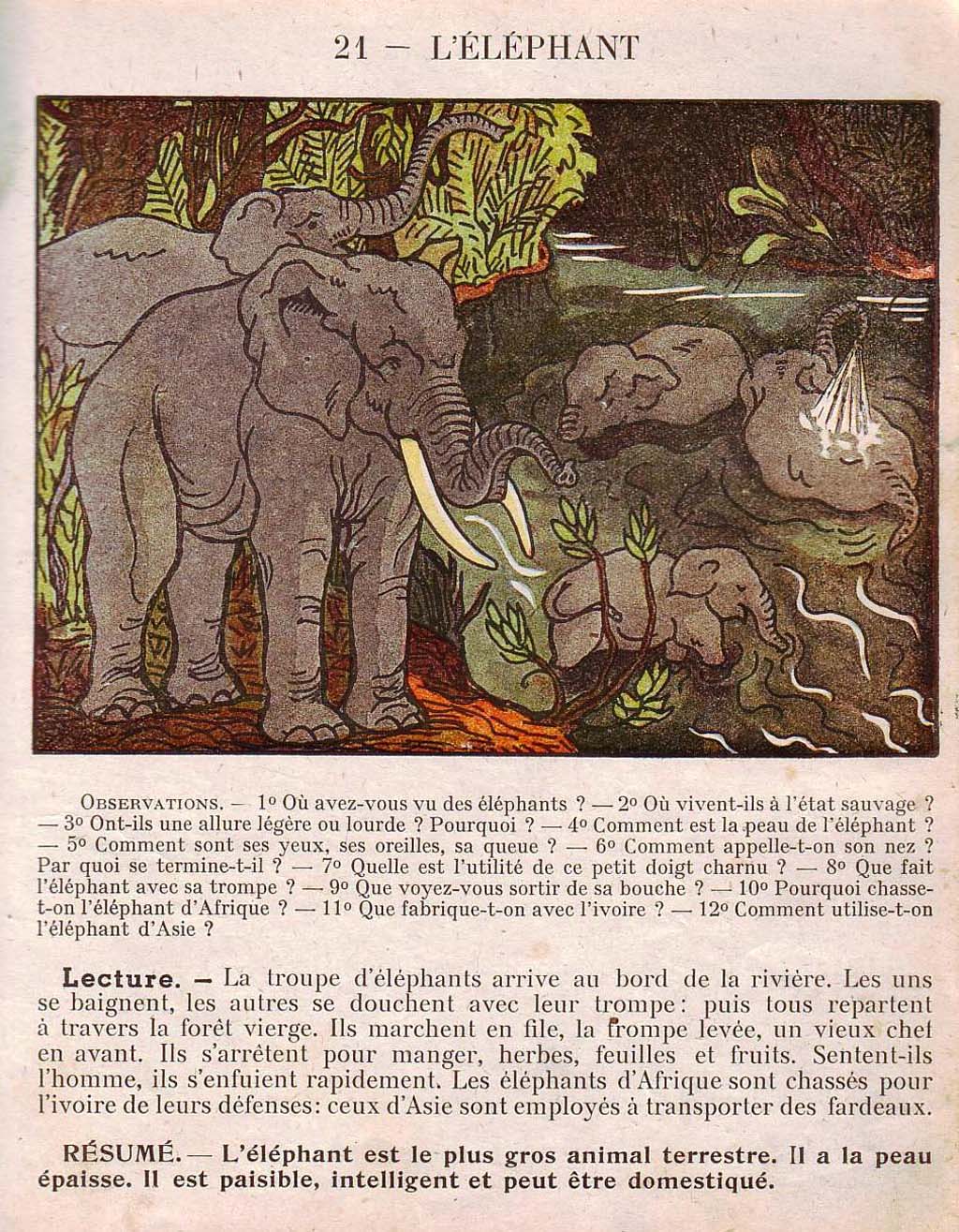 Mon premier livre de leçons de choses