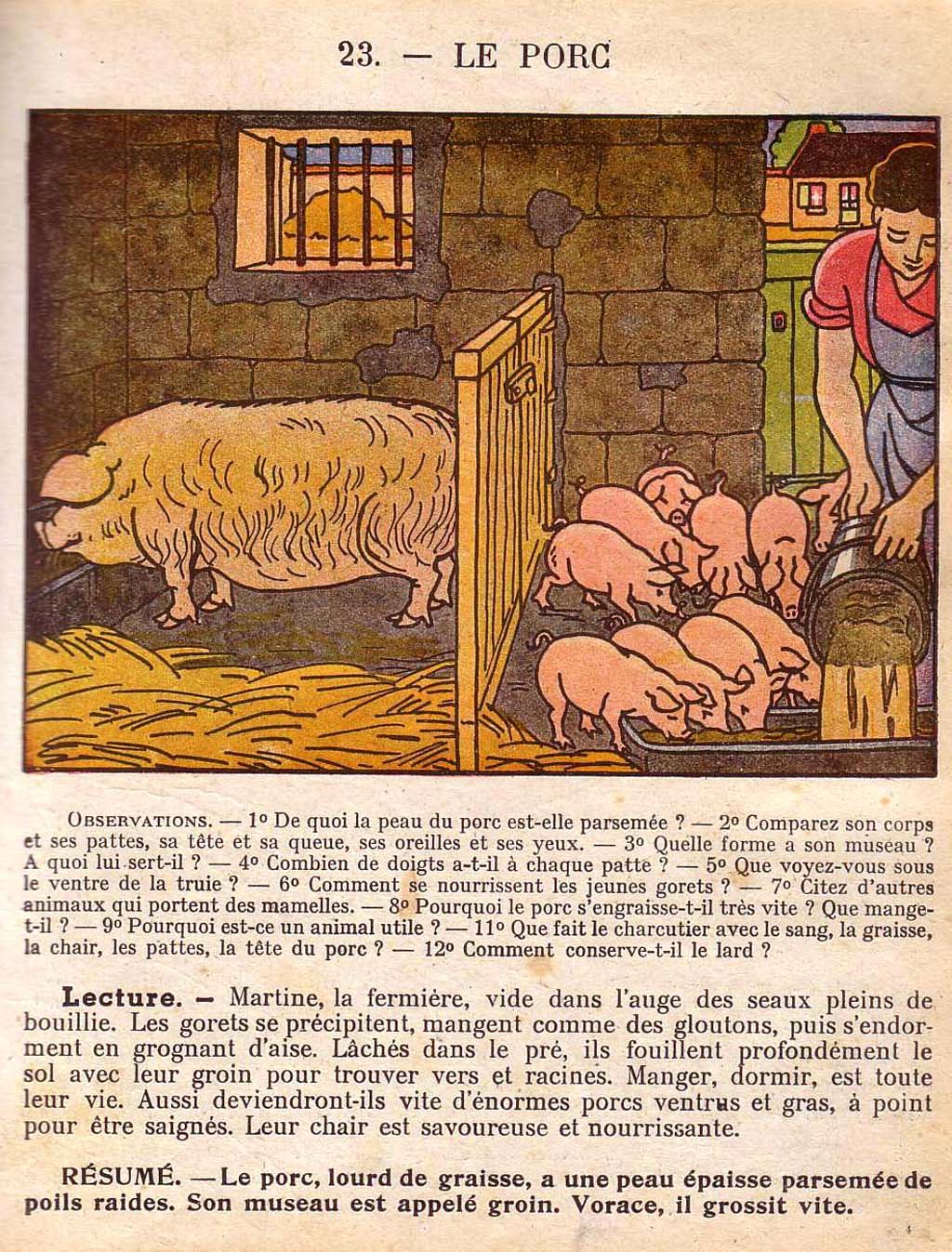 Mon premier livre de leçons de choses