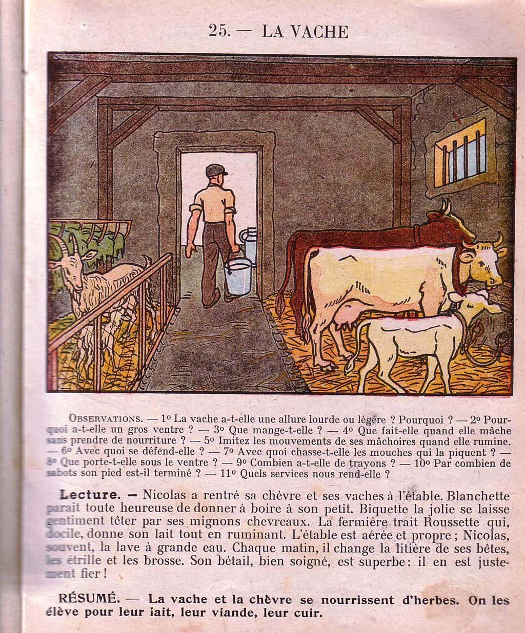 Mon premier livre de leçons de choses