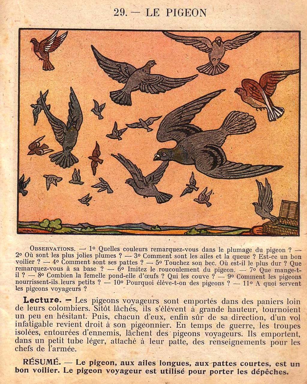 Mon premier livre de leçons de choses