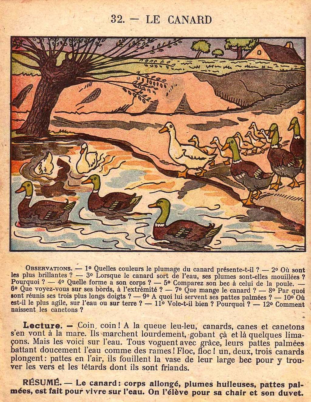 Mon premier livre de leçons de choses