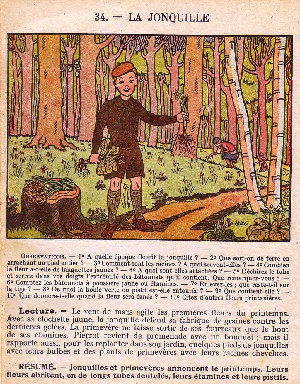 Mon premier livre de leçons de choses