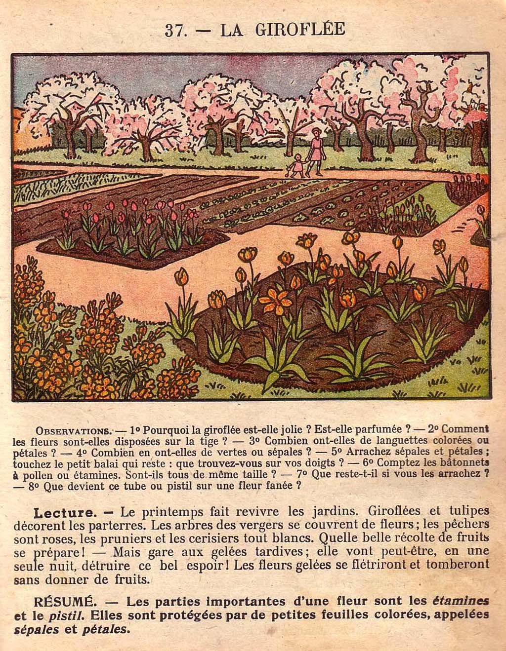 Mon premier livre de leçons de choses