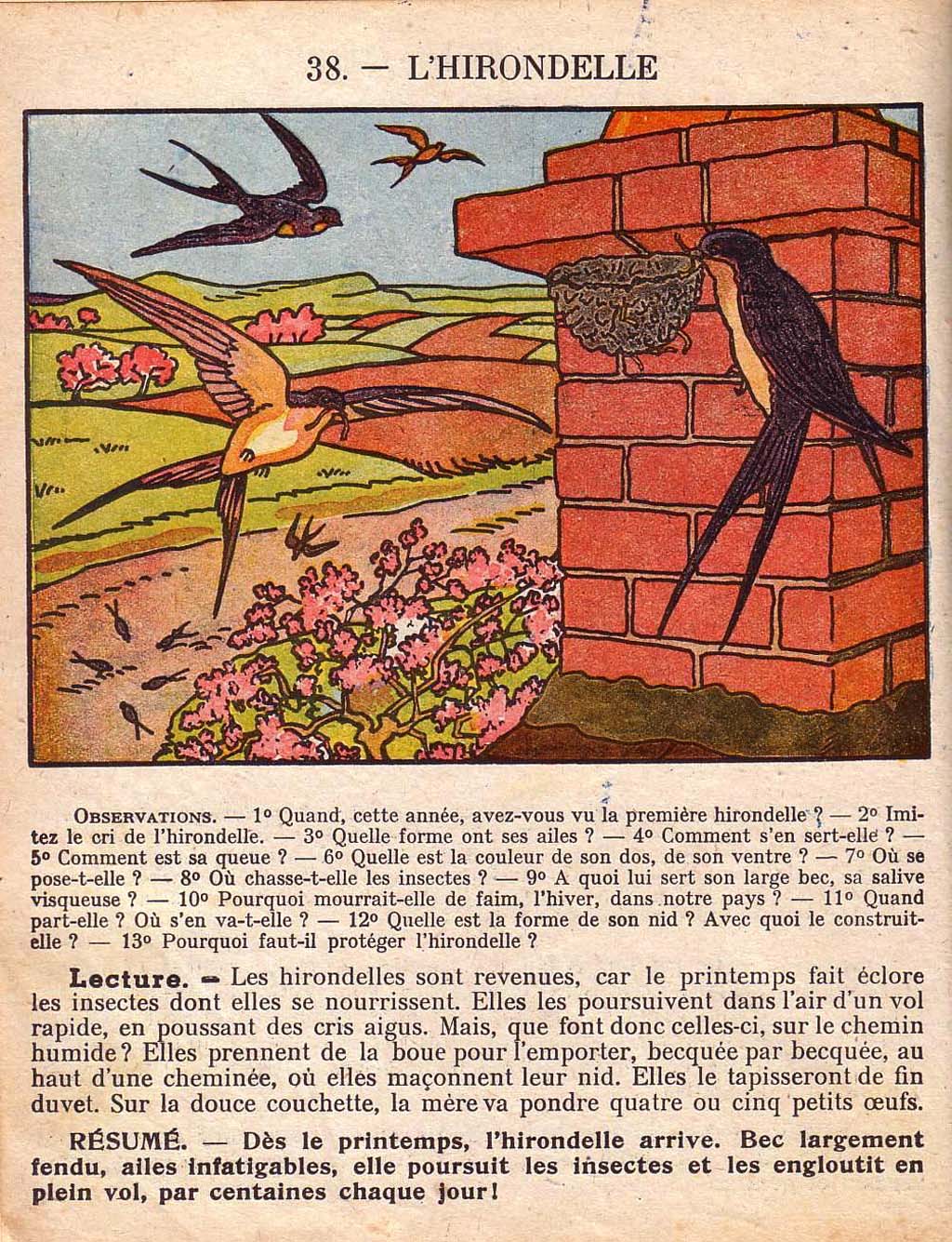 Mon premier livre de leçons de choses