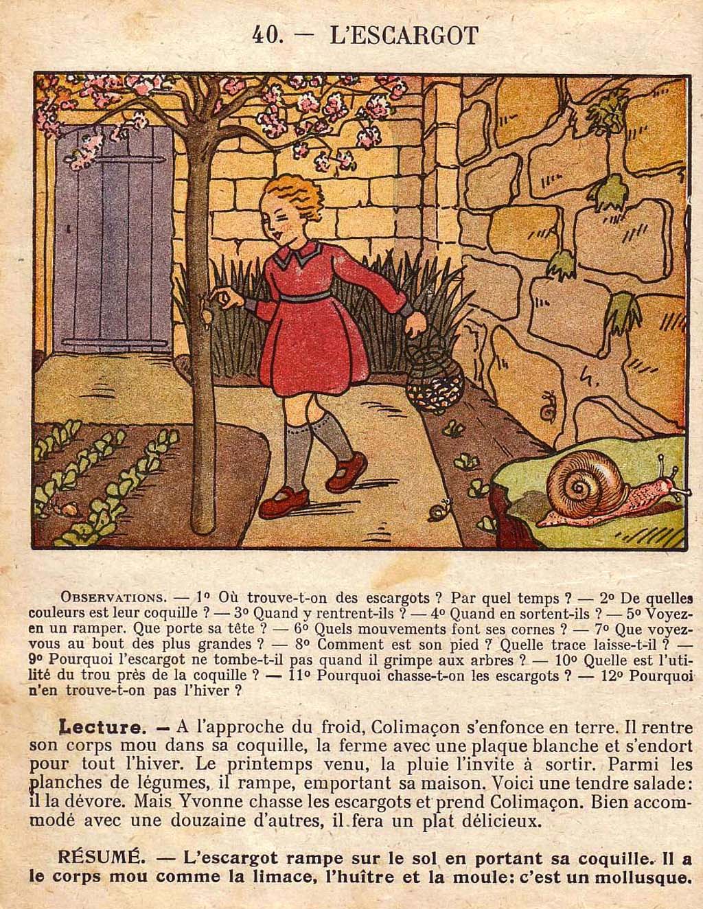 Mon premier livre de leçons de choses