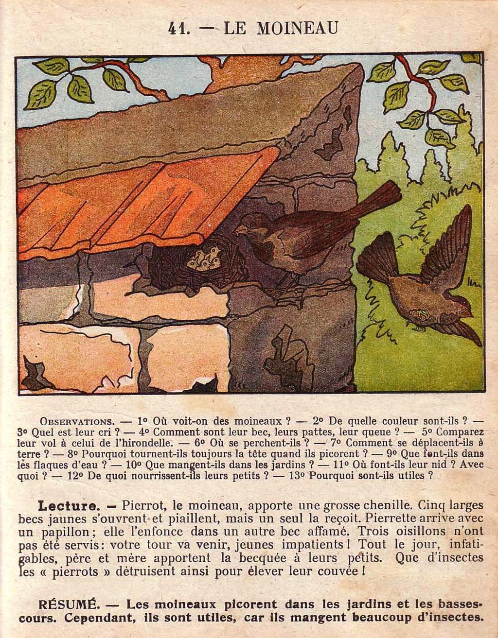 Mon premier livre de leçons de choses