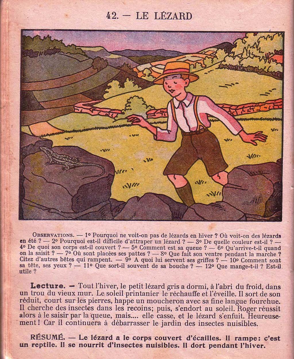Mon premier livre de leçons de choses