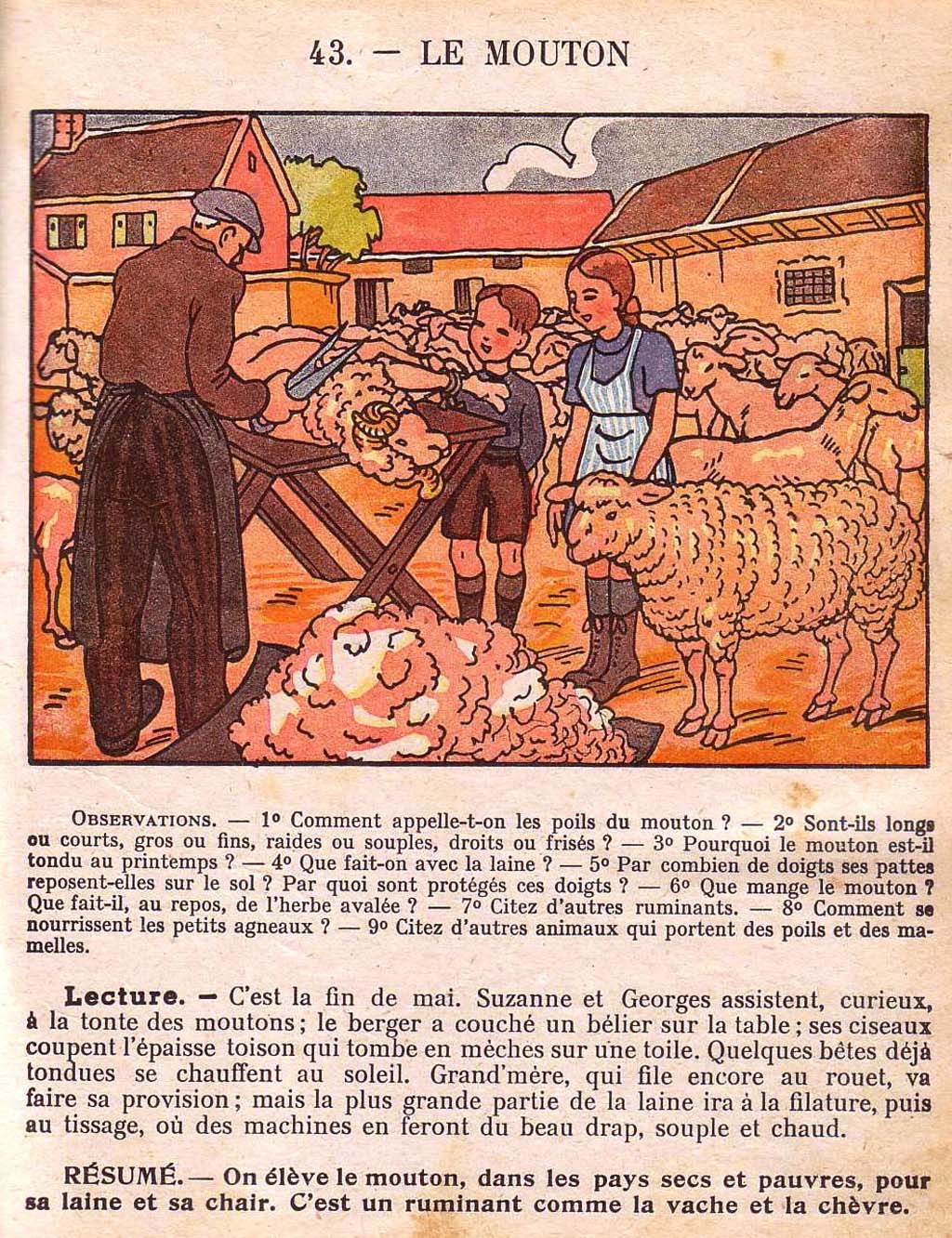Mon premier livre de leçons de choses
